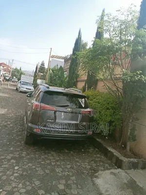 Toyota RAV4 LE AWD (2.5L 4cyl 6A) 2016 Gray