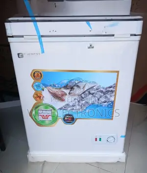 Everest Chest Freezer 200 Mini Deep