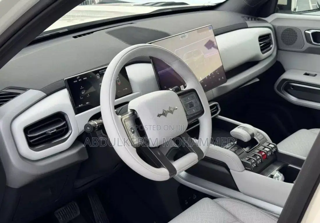 New BYD Song Plus 2025 Gray