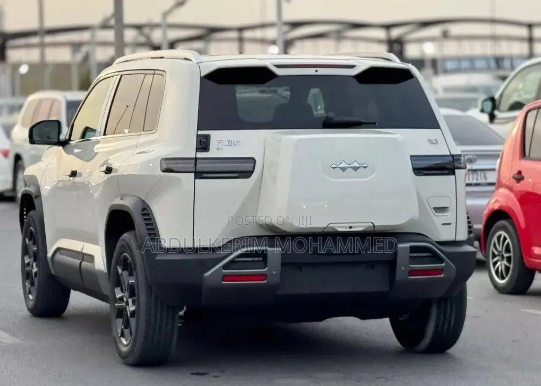 New BYD Song Plus 2025 Gray