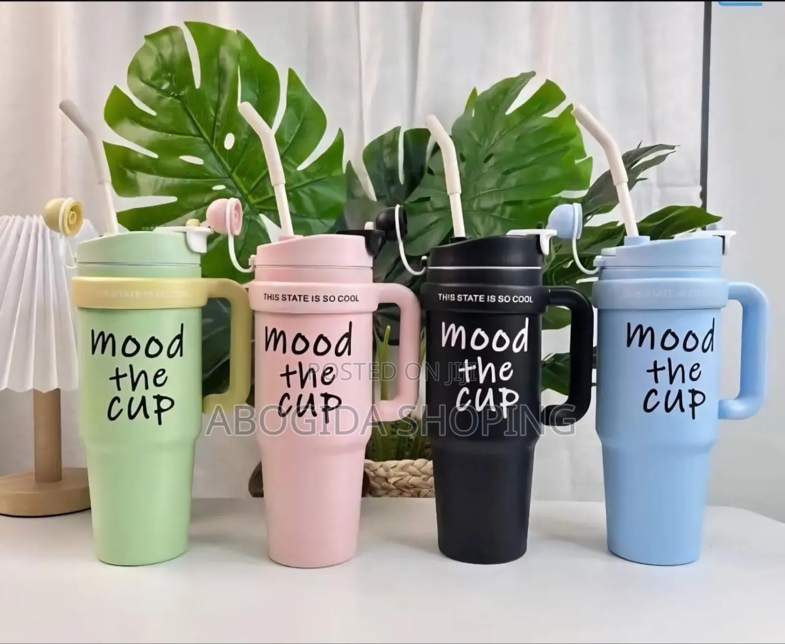 Double Layer Stainless Still Isolated Tumblers With Straw (Travel Cup)