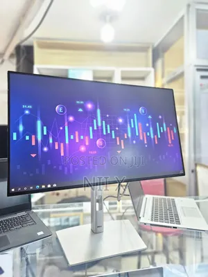 Photo - Dell 24inch Silver Color Monitor