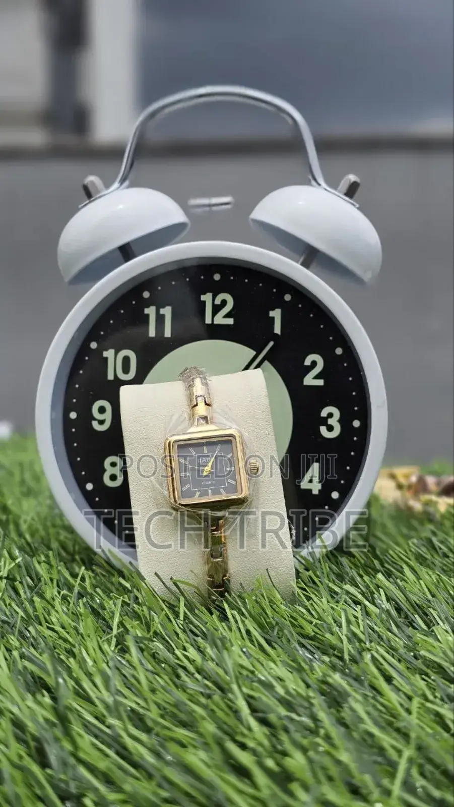 Rado Ladies Watch Elegance And
Premium Design With Timeless Style.