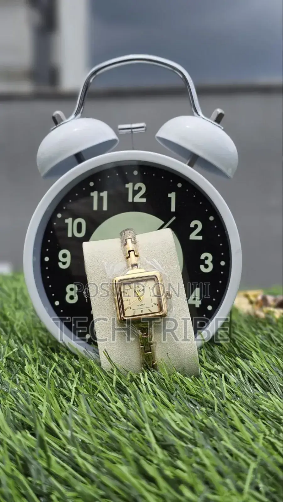 Rado Ladies Watch Elegance And
Premium Design With Timeless Style.