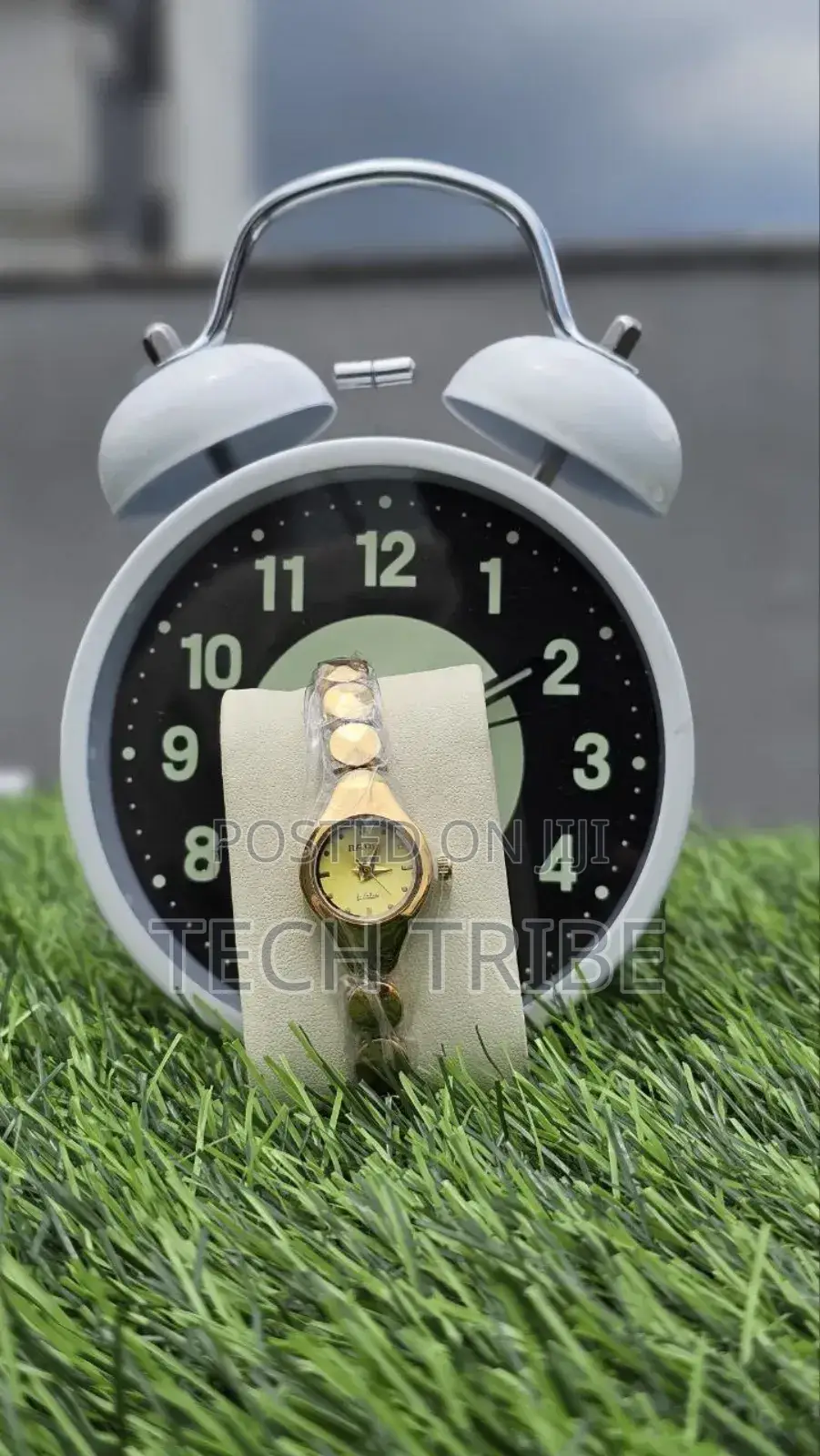 Rado Ladies Watch Elegance And
Premium Design With Timeless Style.