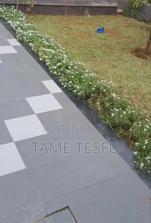 Furnished 8bdrm House in ሀያት, Bole for sale