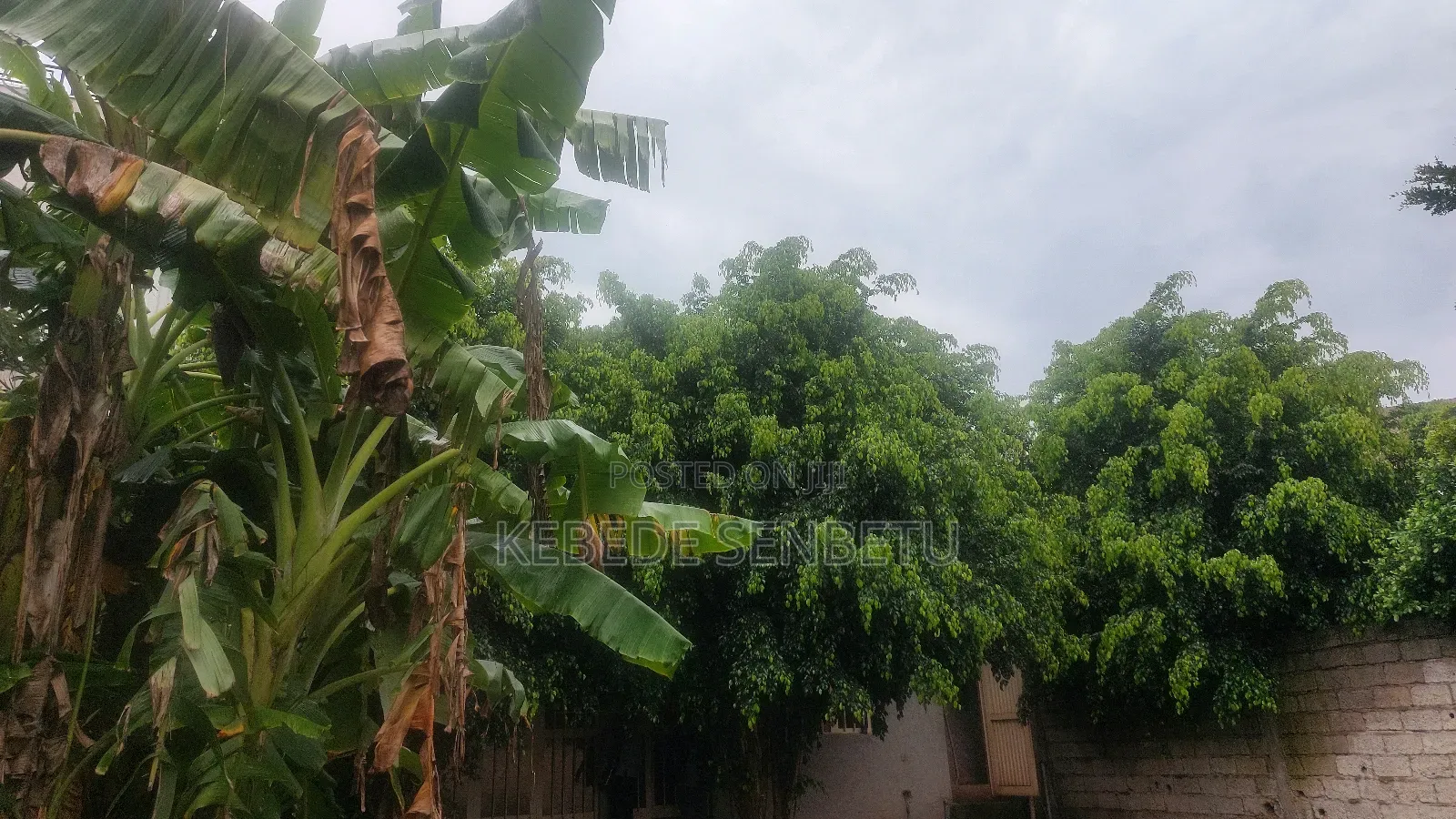 2bdrm House in Oromia, East Shewa for rent