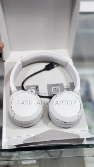 Sony Wh-Ch520 Wireless Headset