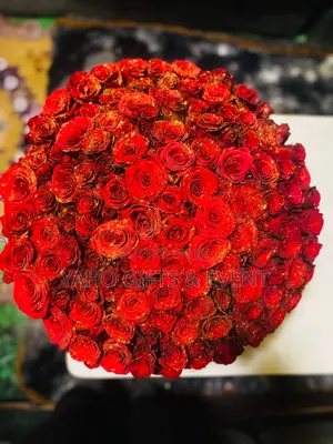 Photo - Shimglna Flower የሽምግልና አበባ