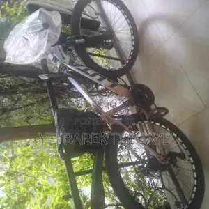 Bicycle for Sell