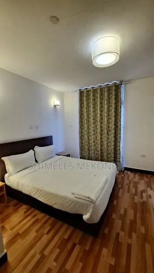 Photo - Furnished 3bdrm Apartment in ሰንሻይን ግቢ, Bole for sale