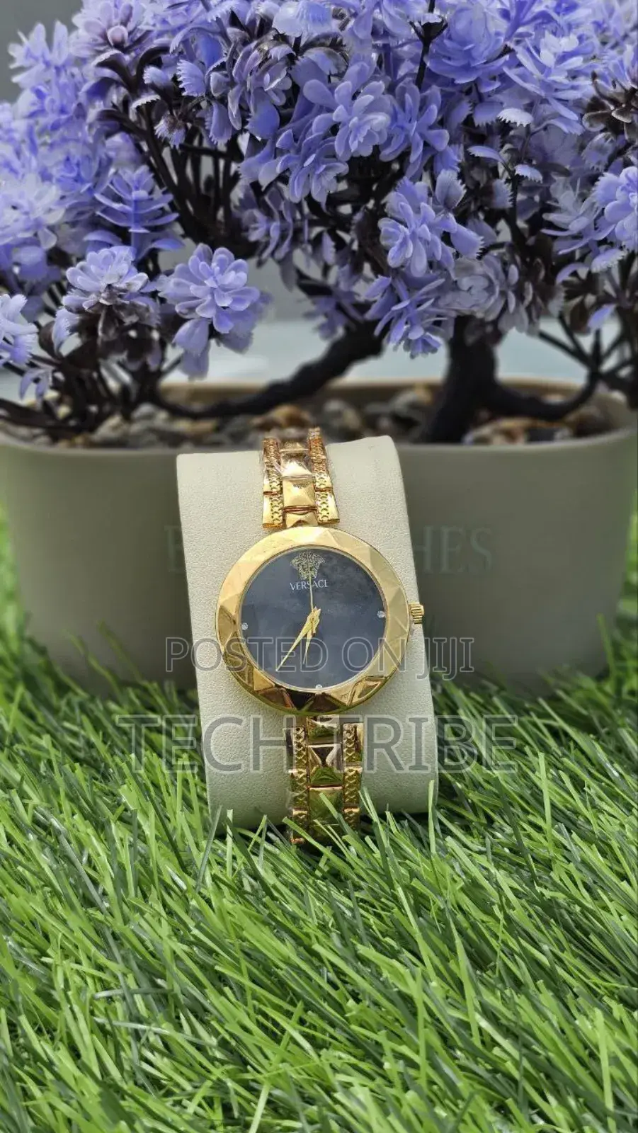 Elegant Versace Ladies Watches Surprise Your Loved Ones With Style.