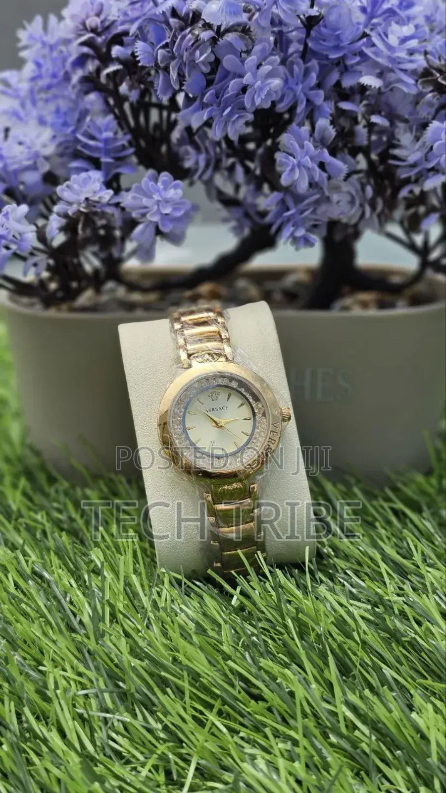 Elegant Versace Ladies Watches Surprise Your Loved Ones With Style.