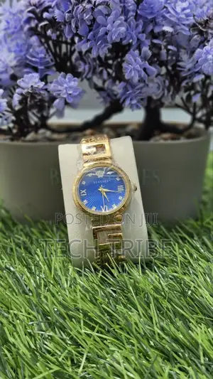Elegant Versace Ladies Watches Surprise Your Loved Ones With Style.