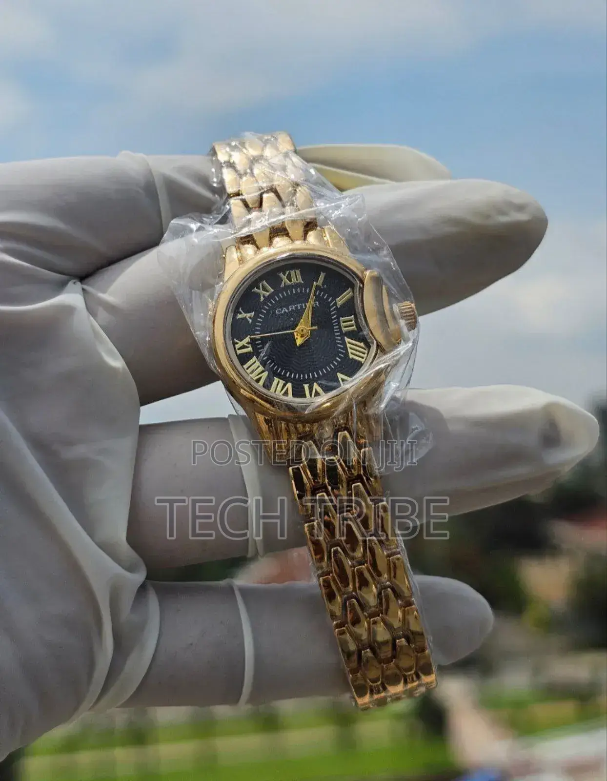 Cartier Elegant Ladies Watches Surprise Your Loved Ones