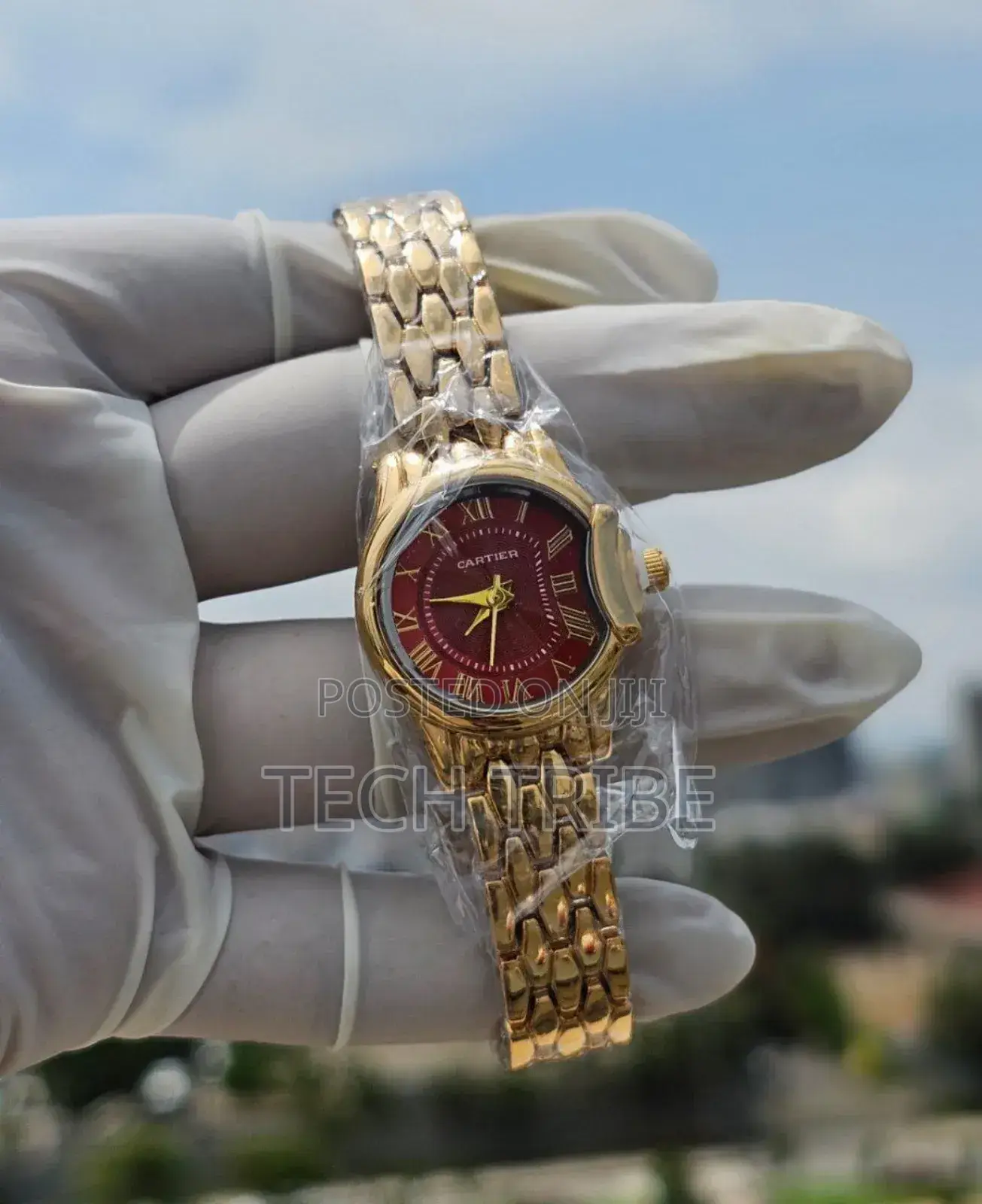 Cartier Elegant Ladies Watches Surprise Your Loved Ones