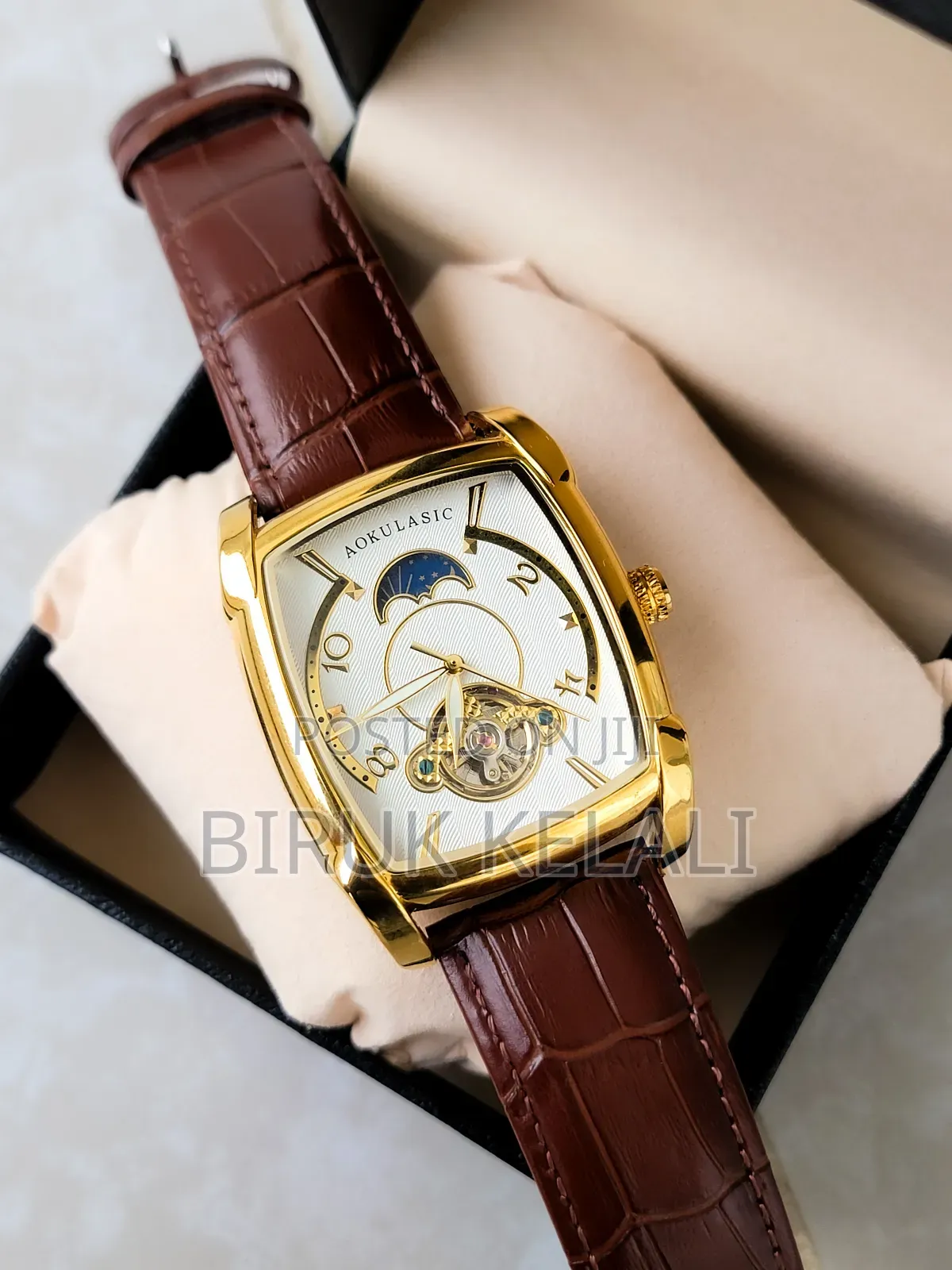 Aokulsic Genuine Luxury Wrist Automatic Watch