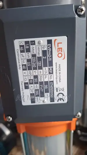 Leo Vertical Multistage 2.5hp Pump ሊዮ ላቪያጆ ፓምፕ