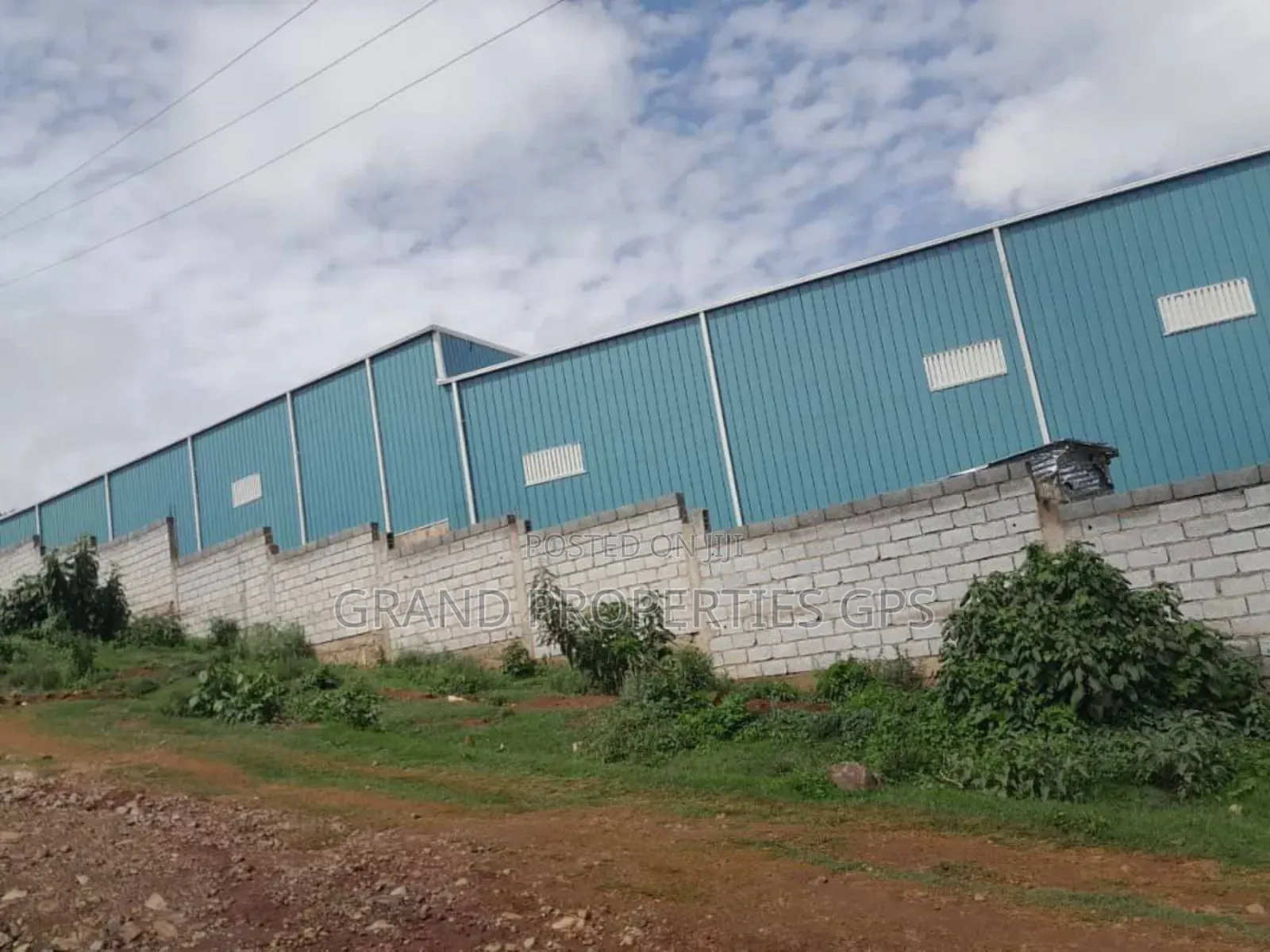 Coffee Processing Factory