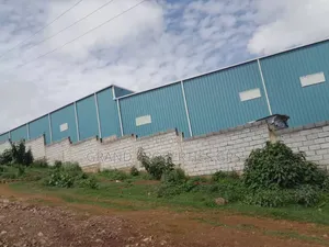 Photo - Coffee Processing Factory