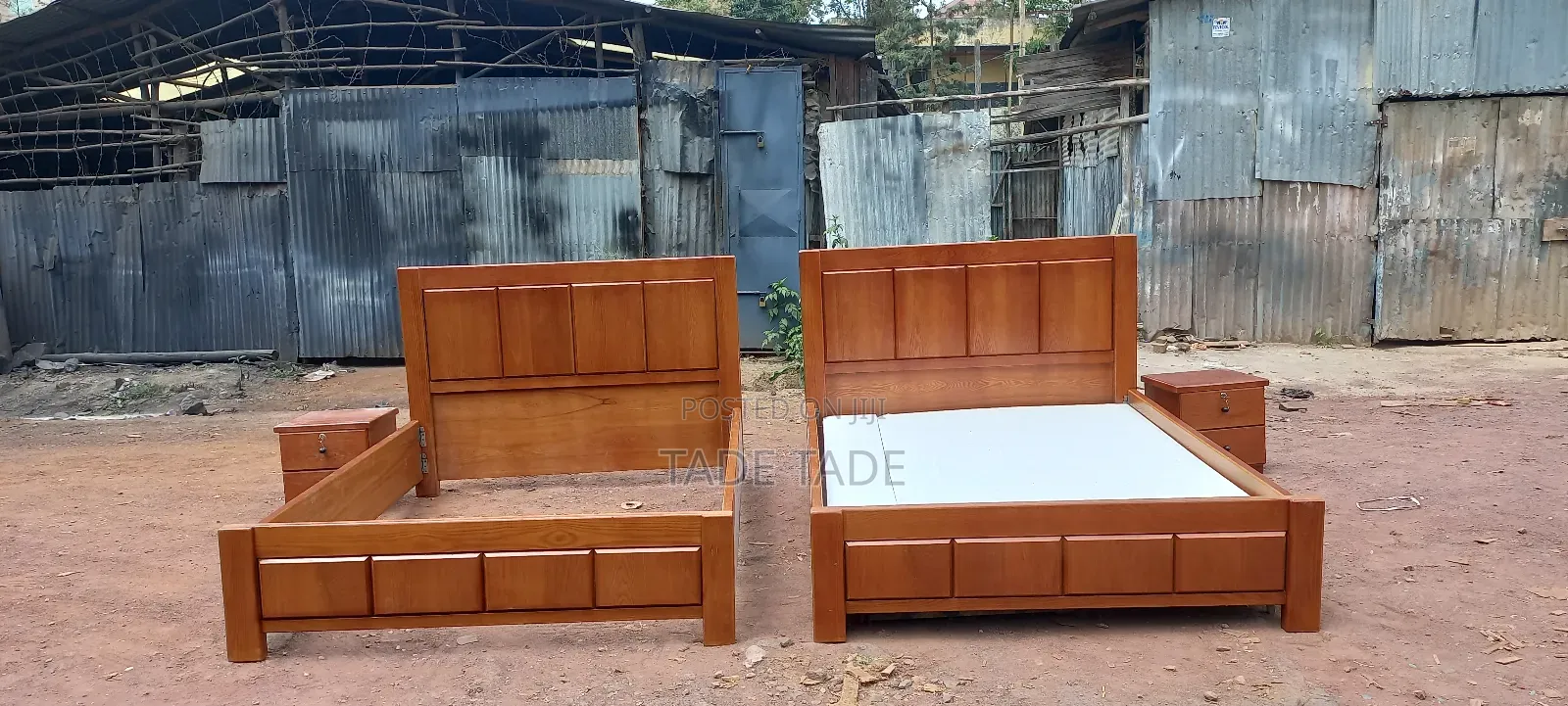 Ock Alga Size 1,50cm