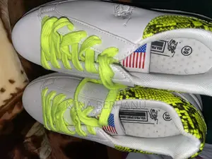 Brand New U.S. Polo Sneaker to Sale