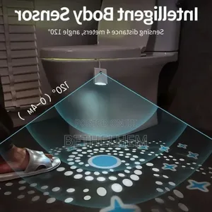 Motion Sensor Toilet Light