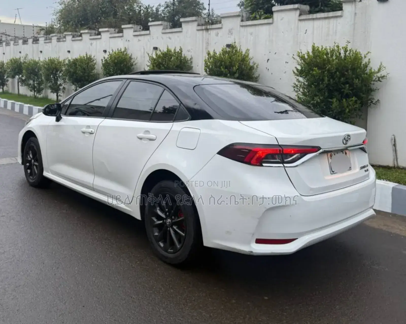 Toyota Corolla 2022 Ivory