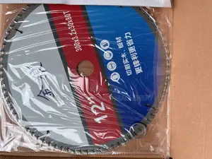 Photo - 300 Mm Disk 80 Teeth