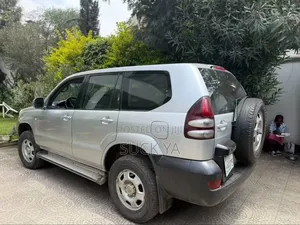 Toyota Land Cruiser 2009 Gray