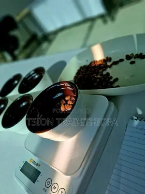 Photo - Digital Scale