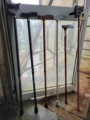 Walking Stick首ten Level Adjustment:Easily Adjust