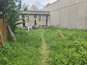 Photo - Call Me Fast