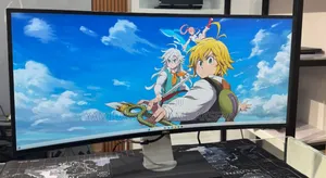 Dell Monitor