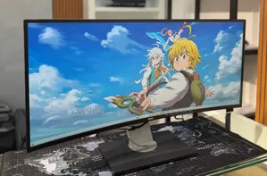 Dell Monitor