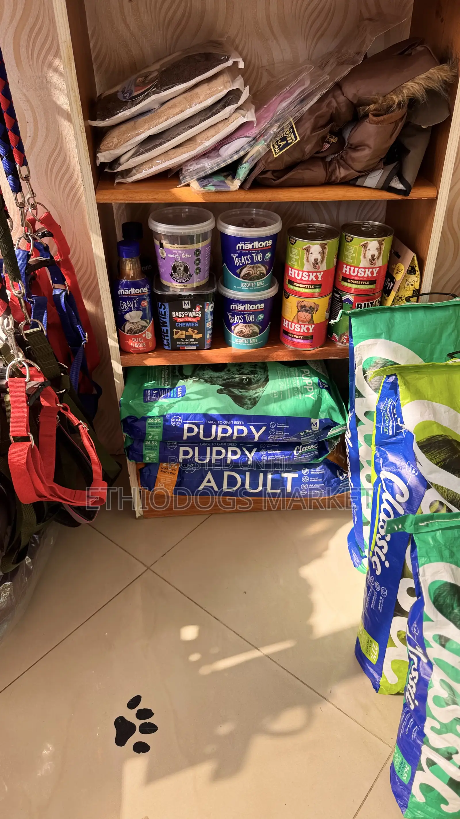 Montego Classic Large Breed Puppy Dry Food