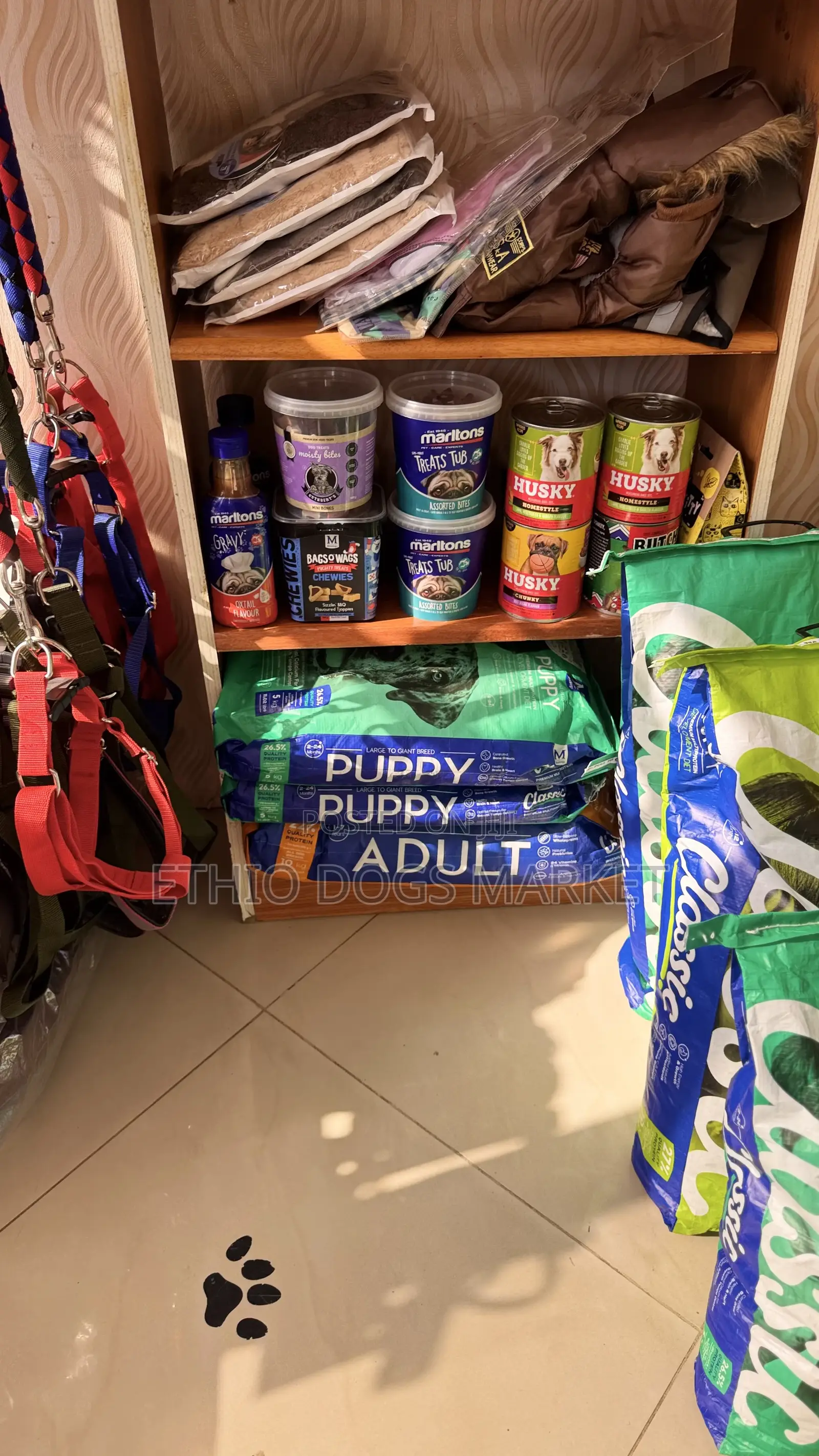 Montego Classic Large Breed Puppy Dry Food