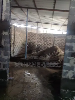 Shopping Rent for Eletronics Garment Eletric City Mini Market Other