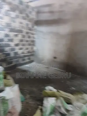 Shopping Rent for Eletronics Garment Eletric City Mini Market Other