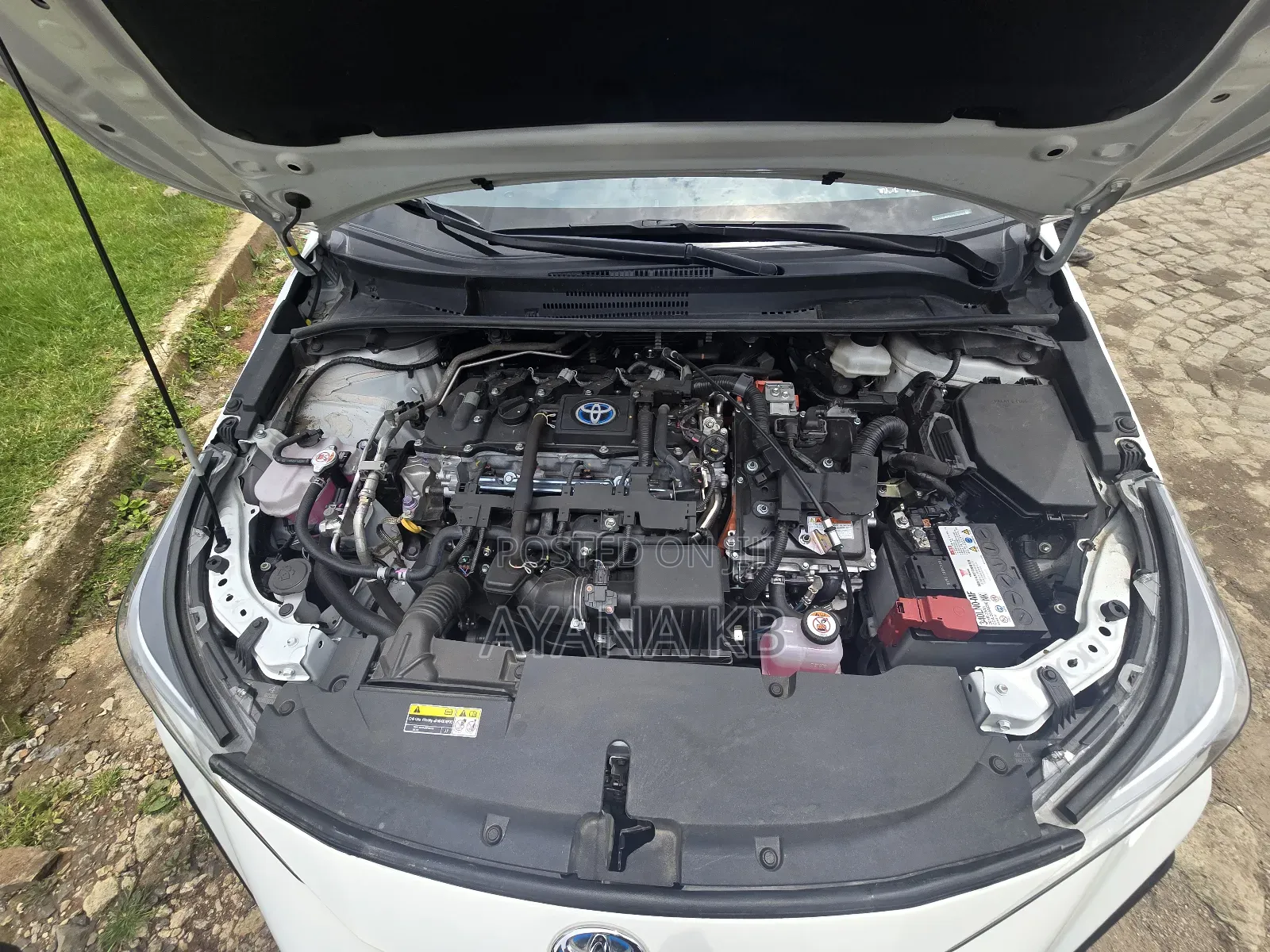 Toyota Corolla 2024 White