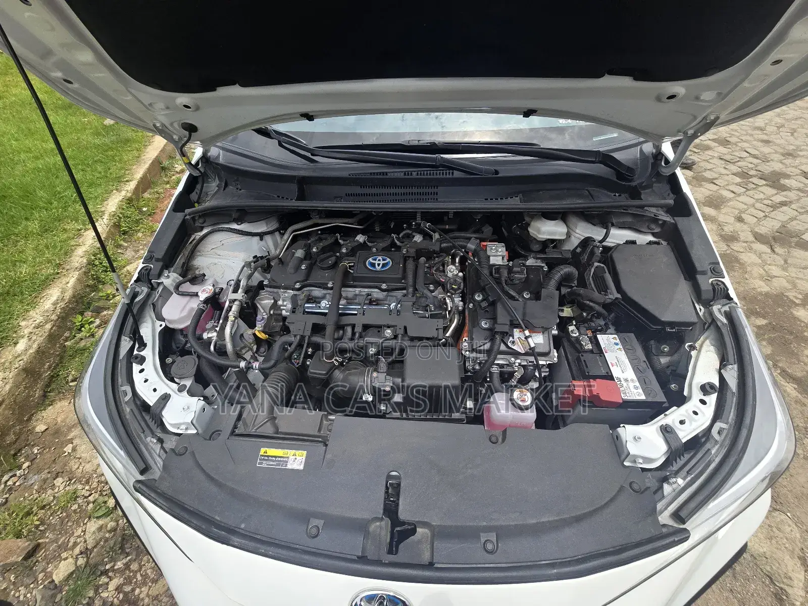 Toyota Corolla 2024 White