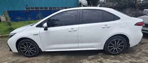 Toyota Corolla 2024 White