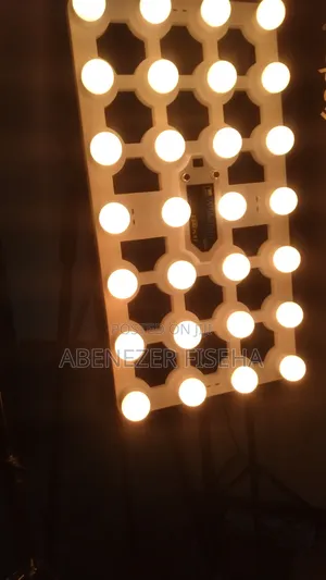 Photo - Widlight Wv_399