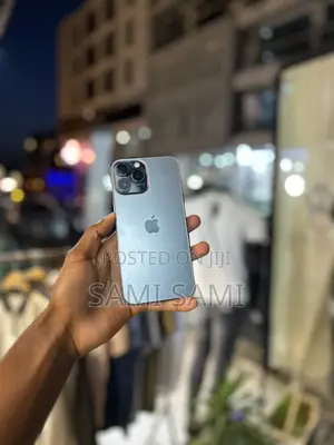 Apple iPhone 13 Pro Max 128 GB Gray