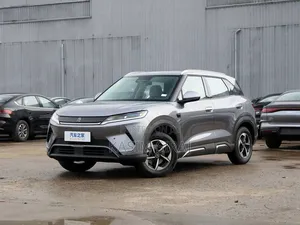 Photo - New BYD Yuan Up 2025 Gray