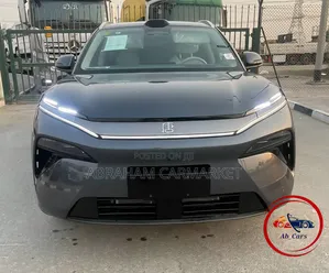 Photo - New BYD Tang DM-i 2025 Gray