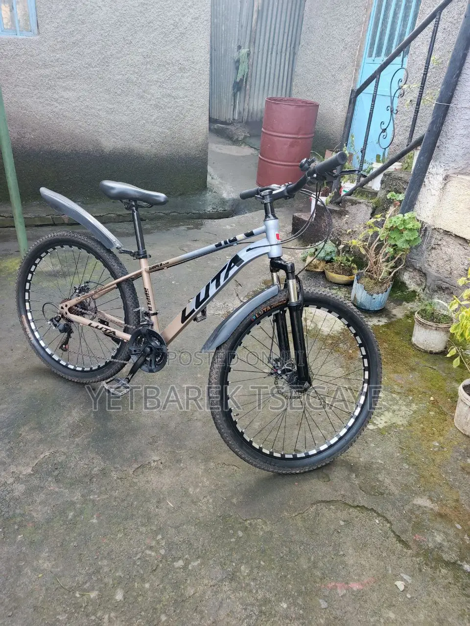 Bicycle for Sell