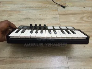 World Panda Mini Midi Studio Keyboard Piano