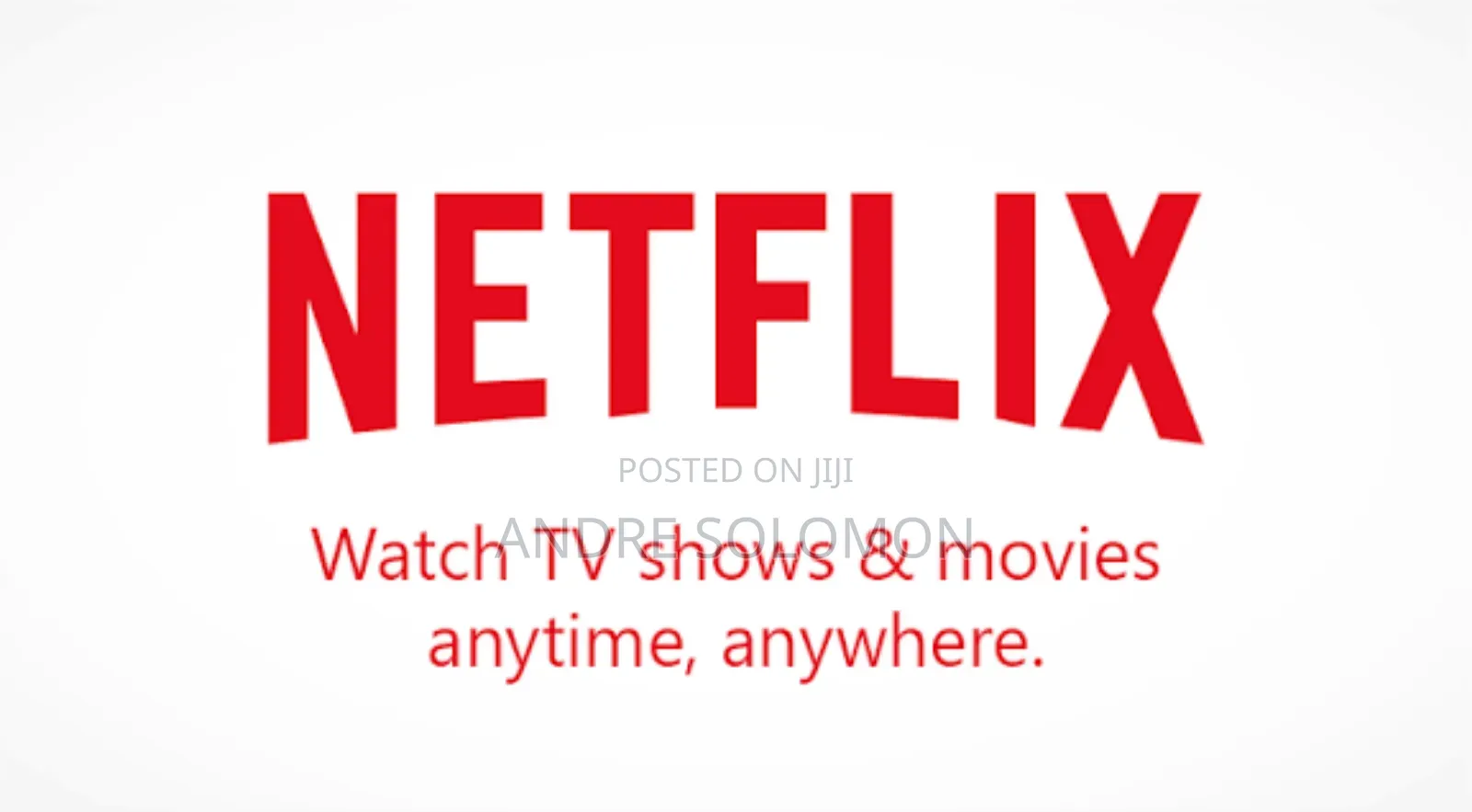 Netflix Subscription