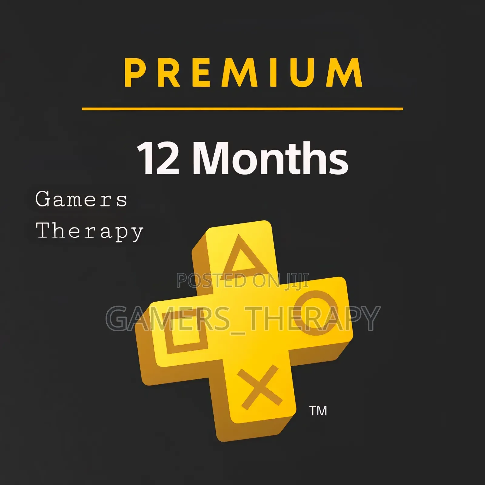 Playstation Plus Premuim/Deluxe 12 Month Ps4